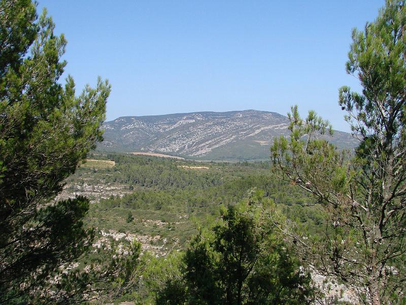 DSC01401