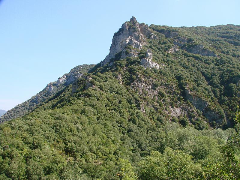 DSC01410
