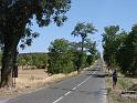 DSC01417